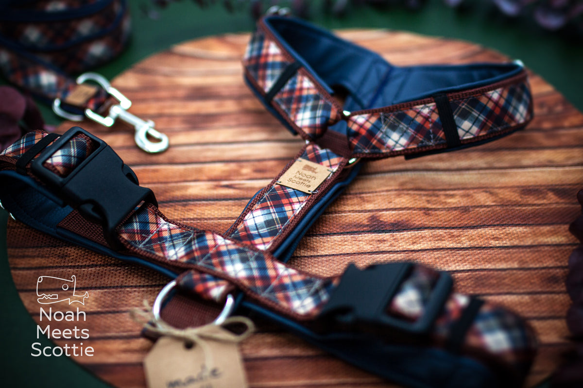 Verstellbares Y-Hundegeschirr DAPPER DARCY im britischen Countryside-Stil mit traditionellem Karomuster, braunem Gurtband und dunklem Innenfutter.