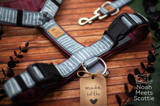 Hundegeschirr Doro mit klassischem Streifendesign in Jeansblau, Weiß und Bordeaux, gepolstert und verstellbar