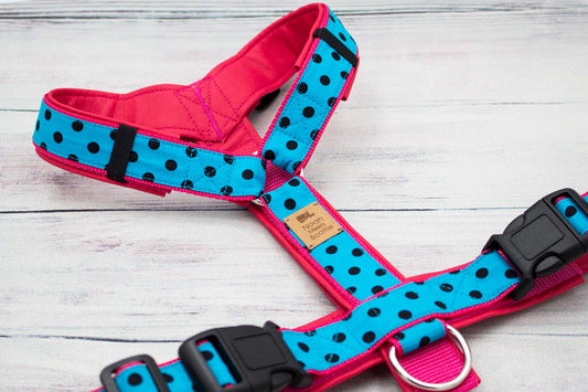 Hundegeschirr DOTTIE im SALE – türkis mit schwarzen Punkten, pink gefüttert, nur 1x Größe M, 50 % reduziert, weich gefüttert, verstellbar