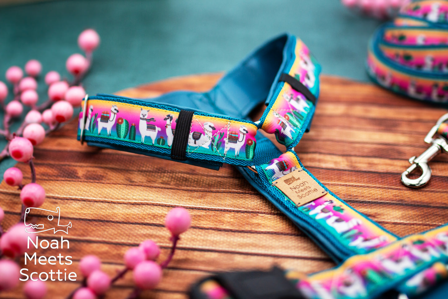 Hundegeschirr mit passender Hundeleine im Alpaka Design mit Pink, Türkis und Kakteenmotiv