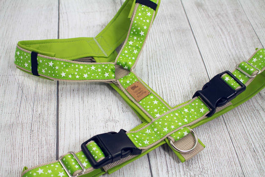 Hundegeschirr GREEN STAR im SALE – grün mit weißen Sternen, nur 1x Größe M, 50 % reduziert, weich gefüttert, verstellbar