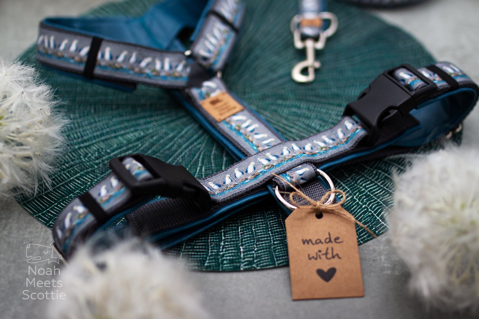 Detailaufnahme vom Hundegeschirr Henry mit Möwenmotiv, stabilen schwarzen Verschlüssen und hochwertiger Verarbeitung.
