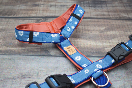 Romantisches Hundegeschirr Jeansstoff mit weißen Gänseblümchen, gepolstert und verstellbar