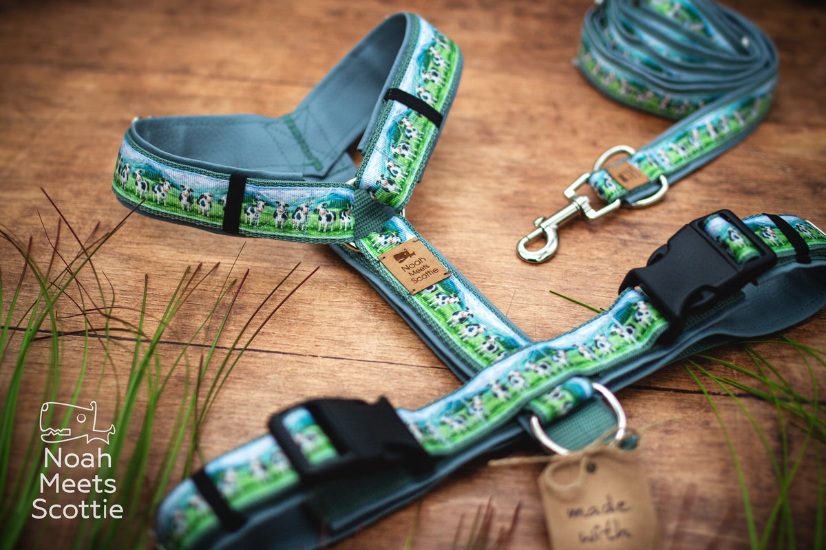 Nahaufnahme des Hundegeschirrs mit großen schwarz-weißen Kühen, grüner Weide, blauem Himmel, schwarzen Verschlüssen und silberfarbenen Ringen.