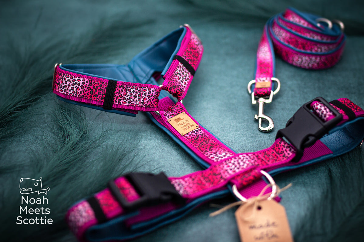 Detailansicht des Hundegeschirrs LEO LA LA mit pinkem Leopardenmuster und petrolblauem Futter