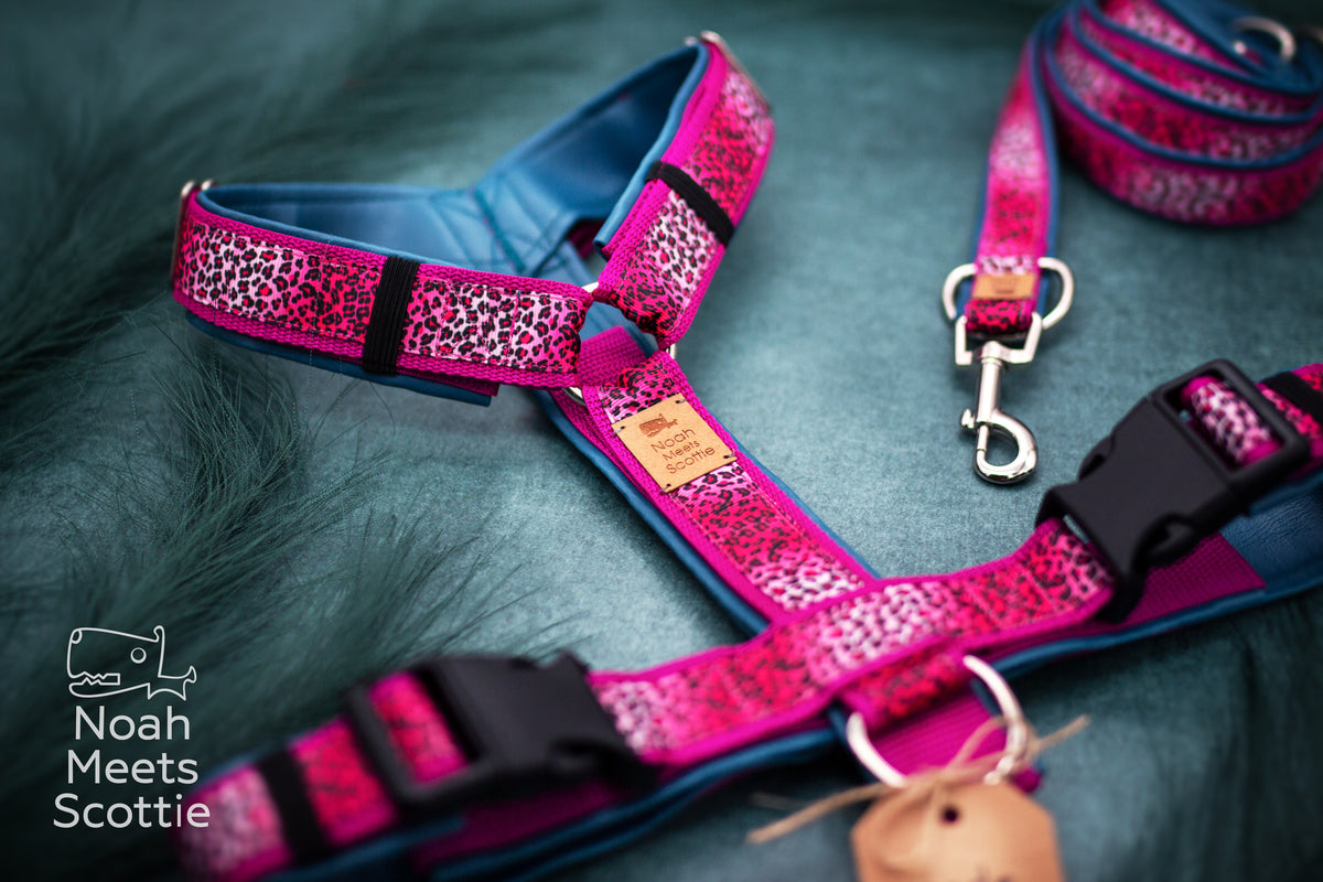 LEO LA LA Hundegeschirr mit Leopardenmuster in kräftigem Pink, dunklen Leo-Flecken und Petrolblau