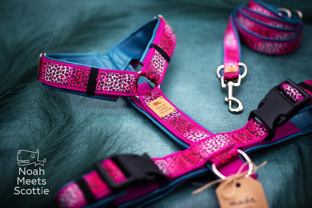 Pinkes Hundegeschirr LEO LA LA mit Leopardenmuster in Pink und Fuchsia sowie petrolblauem Futter