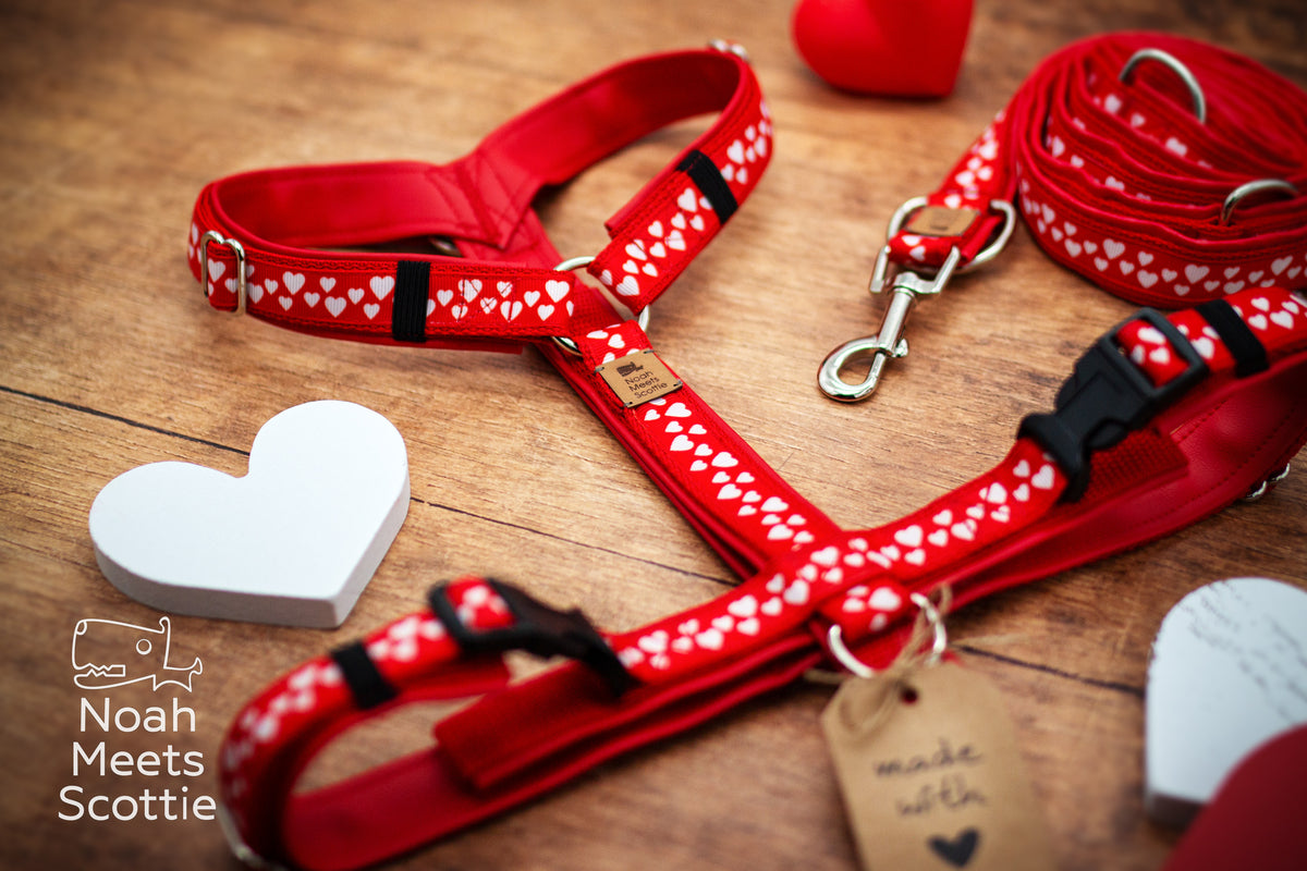Verstellbares Y-Hundegeschirr mit rot-weißem Herzmuster, roten Gurten und schwarzen Steckverschlüssen.