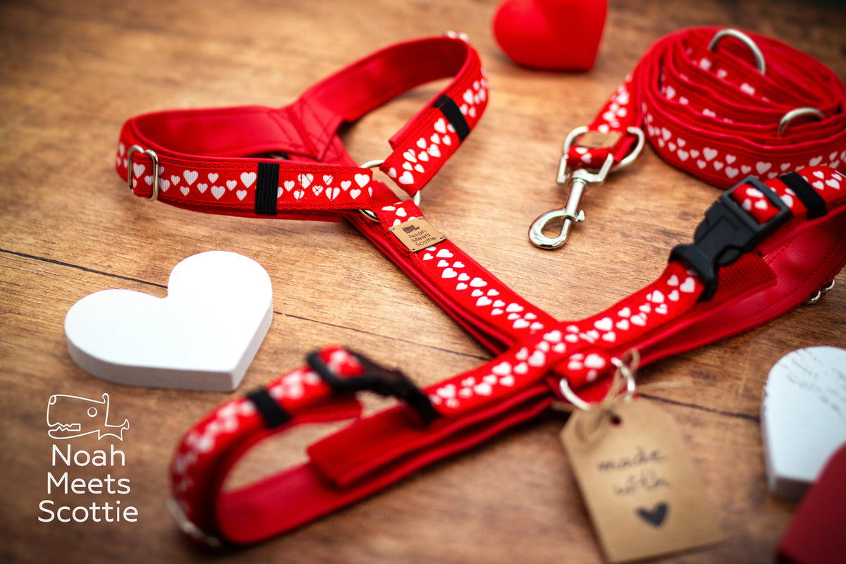 Hundegeschirr LITTLE LOVE NOTES in kräftigem Rot mit vielen kleinen weißen Herzen und rotem Gurtband.