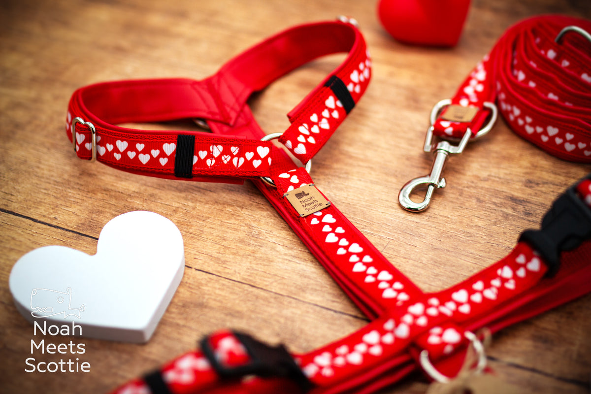 Handgefertigtes rotes Hundegeschirr mit weißen Herzen, verstellbaren Gurten und silberfarbenen Metallringen.