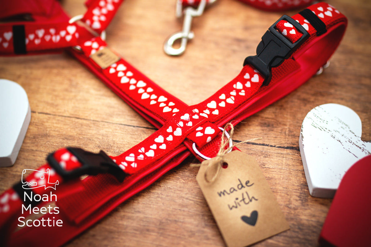 Nahaufnahme des roten Stoffmusters mit kleinen weißen Herzen auf dem Hundegeschirr LITTLE LOVE NOTES.