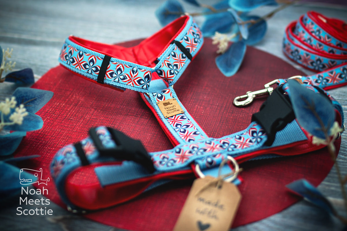Detailaufnahme des grafischen Ornamentmusters in Hellblau, Rot, Dunkelblau und Weiß auf dem Hundegeschirr Mads.