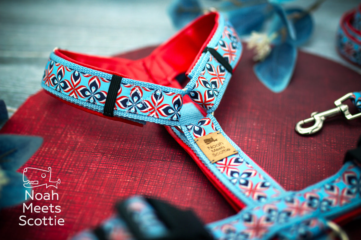 Gepolstertes Hundegeschirr Mads mit geometrischem Retro-Design, hellblauem Gurtband und rotem Kunstleder.