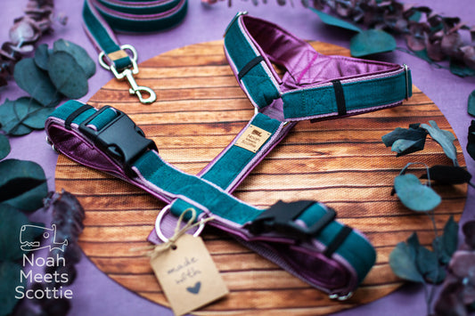 Hundegeschirr Maeve aus tannengrünem Cord mit altrosa Gurtband und metallic auberginefarbener Kunstlederpolsterung.