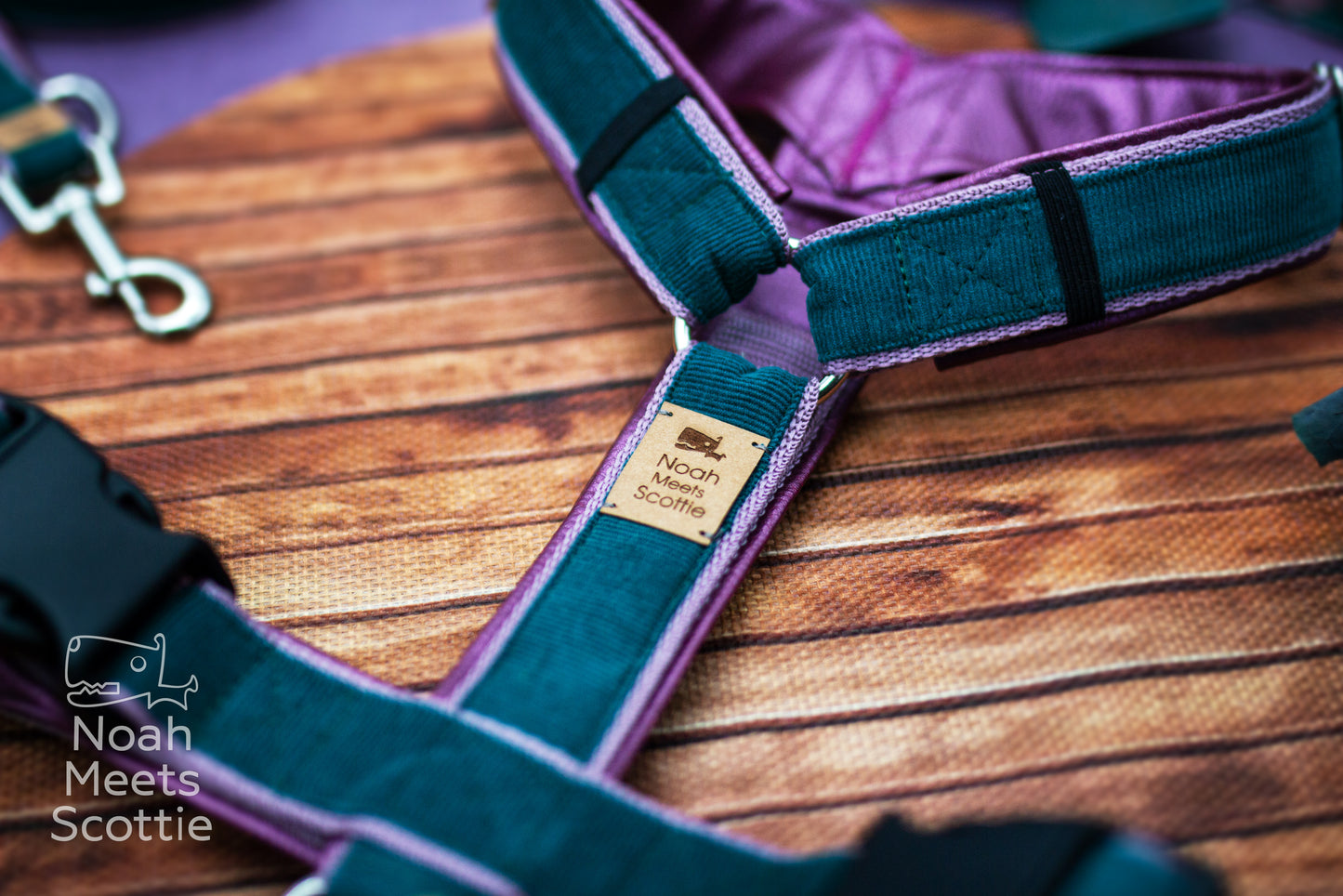 Hundegeschirr Maeve aus Cordstoff in Tannengrün mit altrosa Gurtband und schimmernder Kunstlederpolsterung in Aubergine.