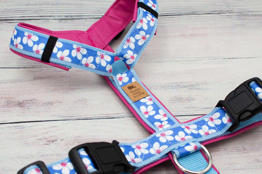 Hundegeschirr MALEA im SALE – himmelblau mit Hibiskus-Blüten, pink gefüttert, nur 1x Größe M, 50 % reduziert, weich gefüttert, verstellbar