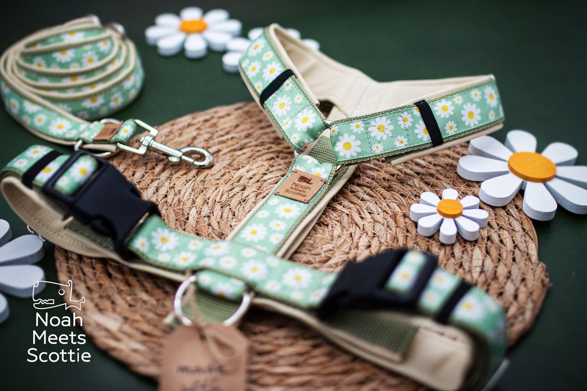Detailansicht des Hundegeschirrs DAISY DEW mit floralem Margeritenmuster, heller Einfassung und verstellbaren Gurten.