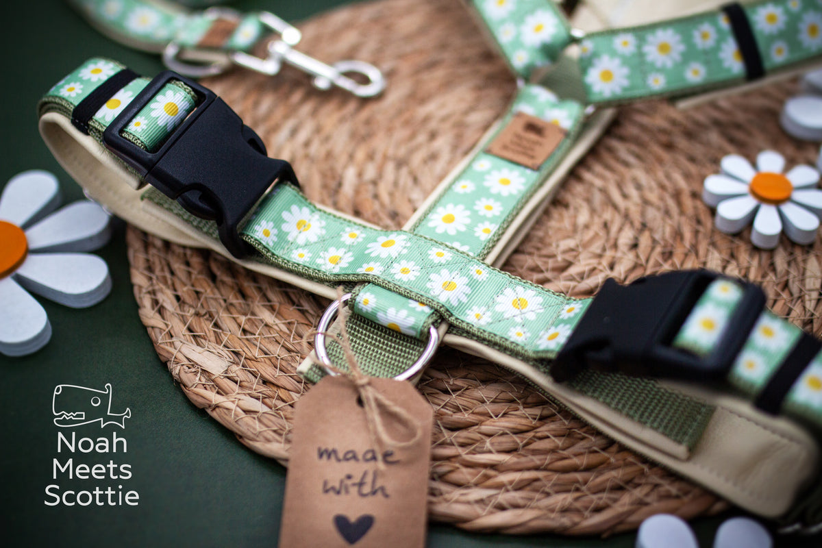 Verstellbares Hundegeschirr mit romantischem Blumenmuster aus weißen Margeriten auf zart lindgrünem Hintergrund.