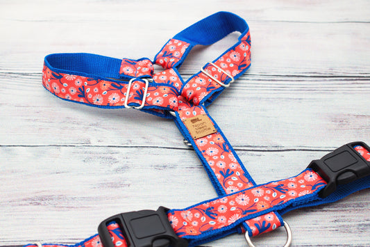 Hundegeschirr MIKA in Korallenrot mit weißen und blauen Blüten, florales Design, farbenfroh und verstellbar