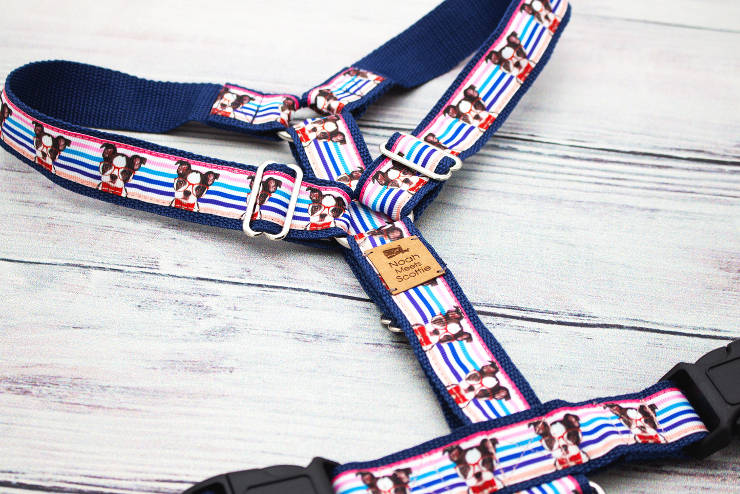 Hundegeschirr MISTER KNOWITALL mit Boston-Terrier-Motiv und blau-pinkem Streifenmuster, modernes Hundegeschirr