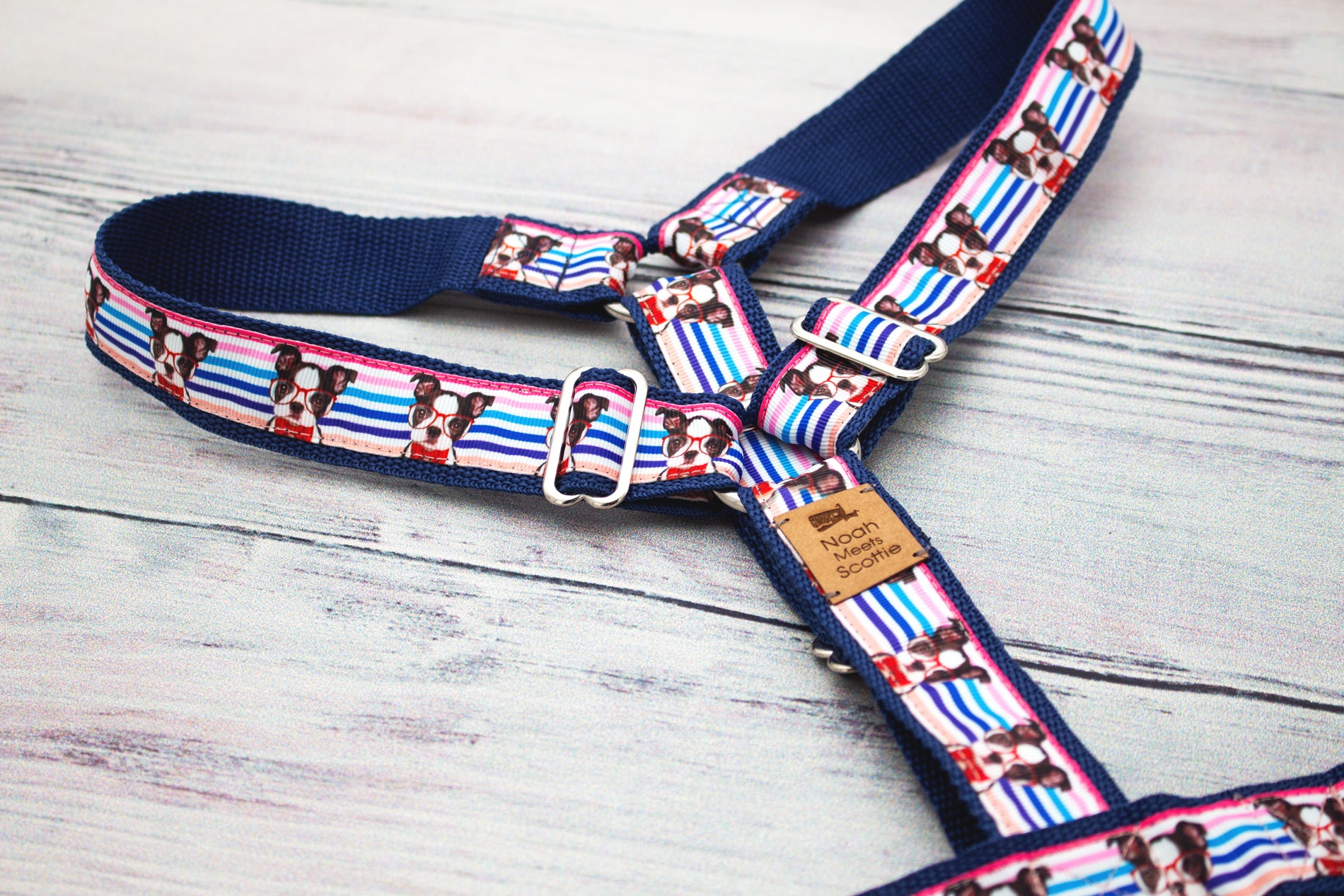 Boston-Terrier Hundegeschirr MISTER KNOWITALL, farbige Streifen in Blau und Pink, verstellbares Design