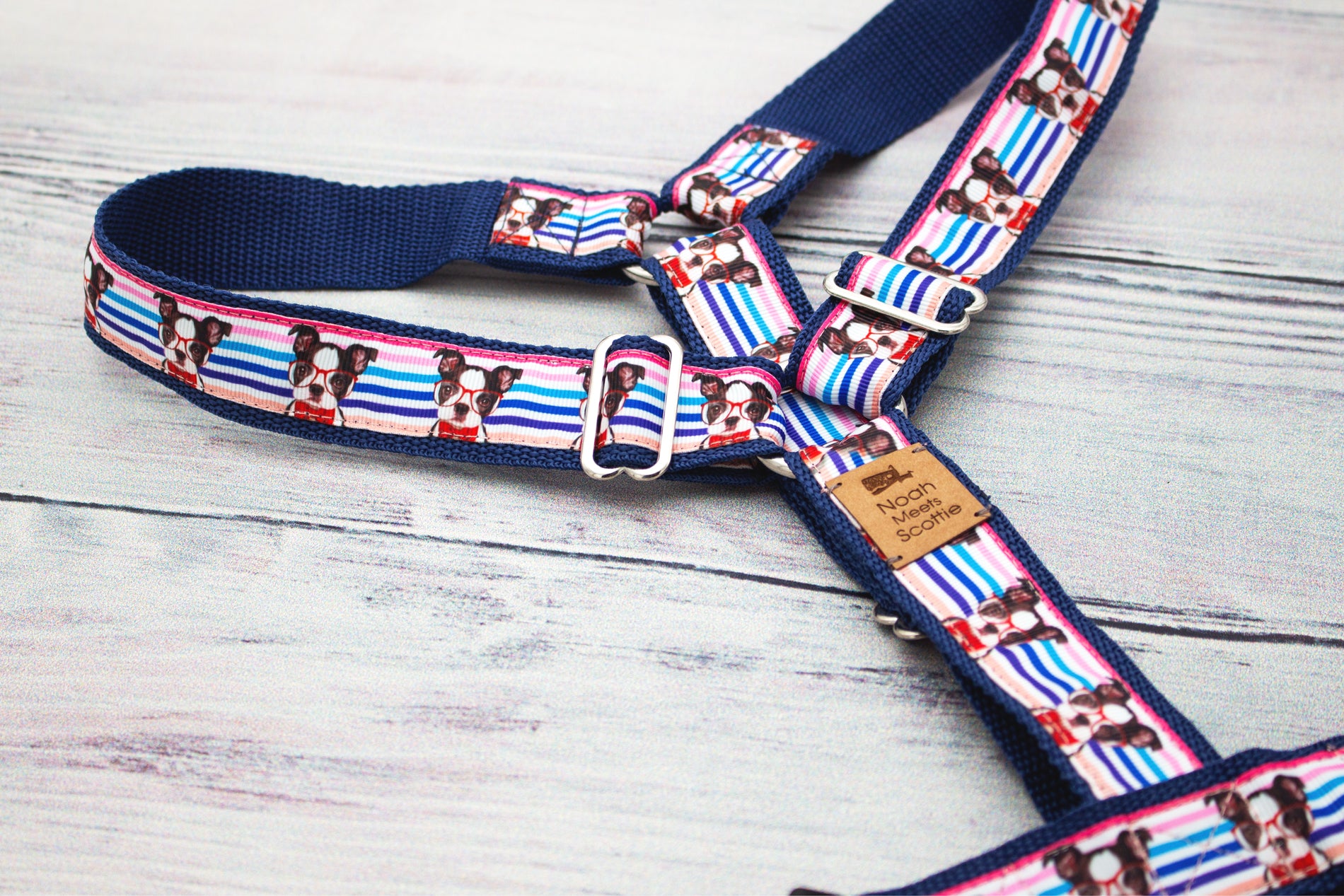 Detailaufnahme Hundegeschirr MISTER KNOWITALL, Boston-Terrier-Köpfe mit Brille auf Streifenmuster