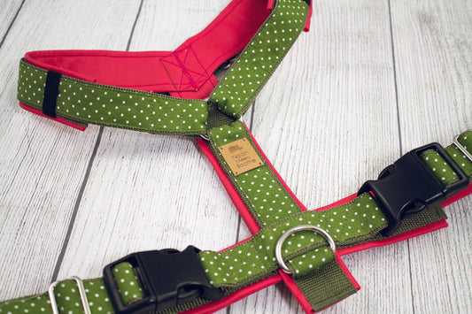 Hundegeschirr OLIVE Punkte-Muster olivgrün fuchsia, gepolstertes Kunstleder, robust