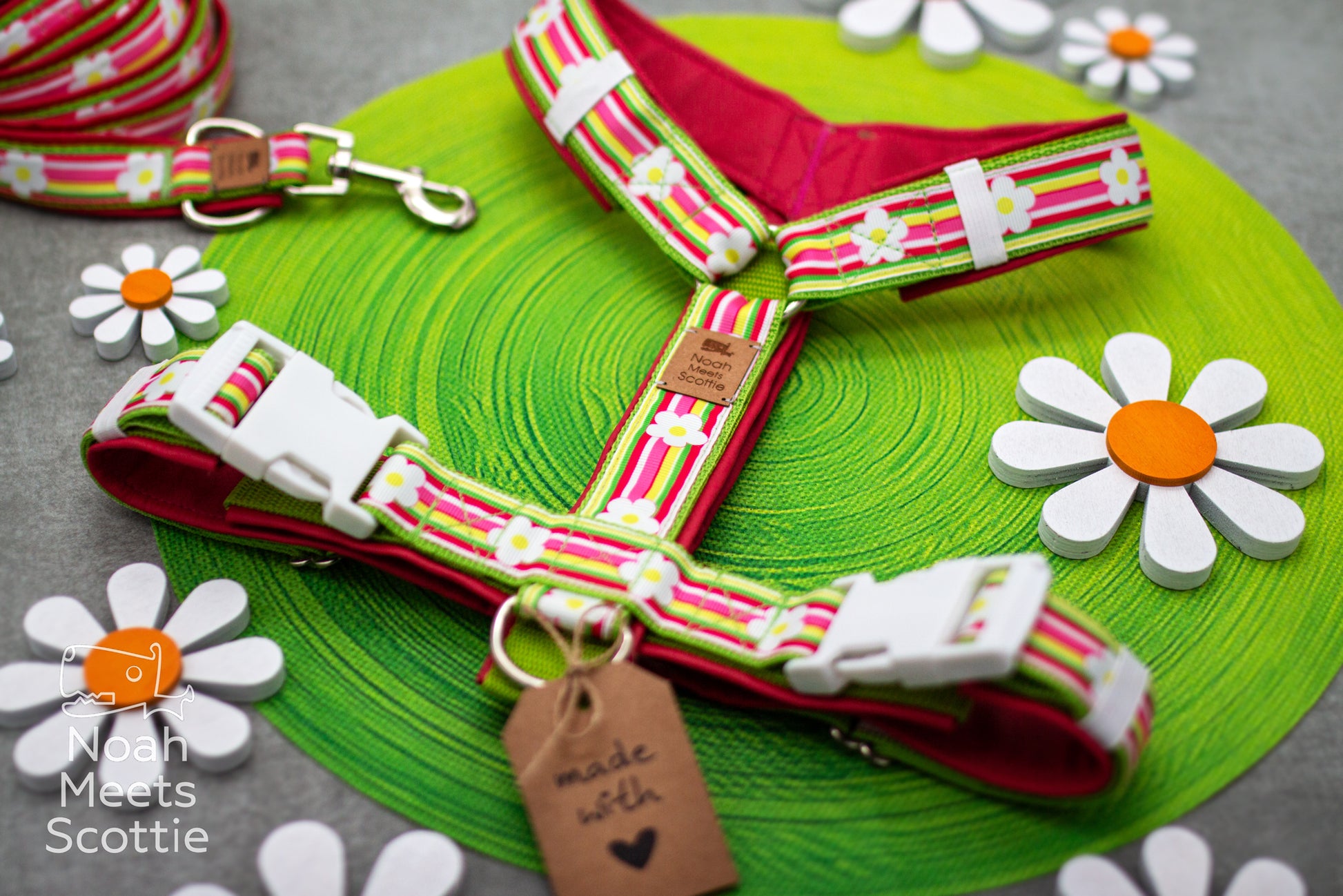 Hundegeschirr mit Daisy Muster und leuchtenden Farben für sommerliche Spaziergänge