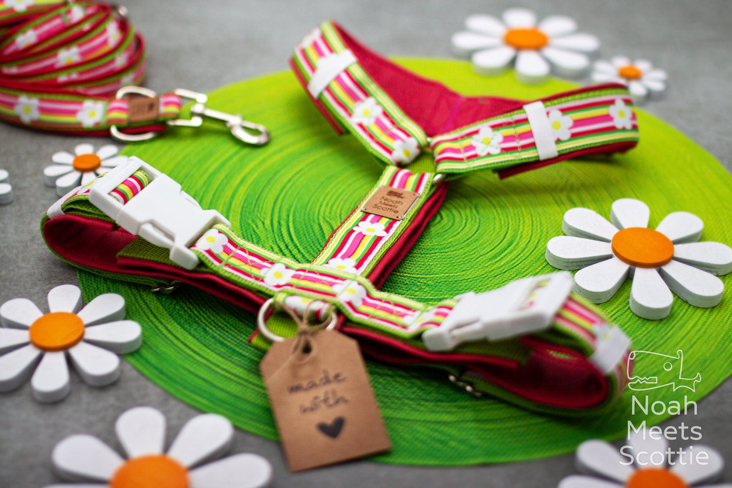 Hundegeschirr OOPSY DAISY mit buntem Margeritenmuster und farbenfrohen Streifen in Pink und Grün