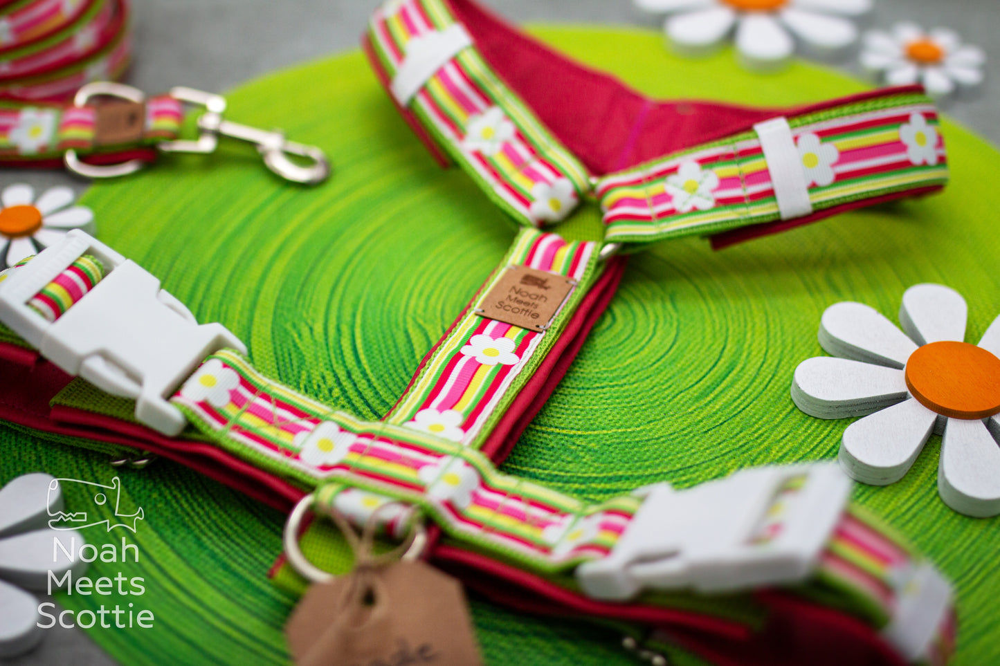 Buntes Hundegeschirr mit Margeriten, Blumenmuster und fröhlichem Retro Design