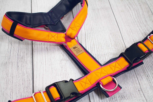 Hundegeschirr ORANGE PEEL orange pink dunkelblau, gepolstertes Kunstleder, robust