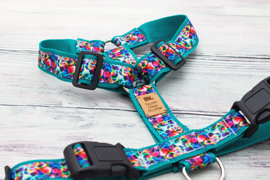 Hundegeschirr PAW VIBES in Türkis mit buntem Wellenmuster, verstellbar und robust