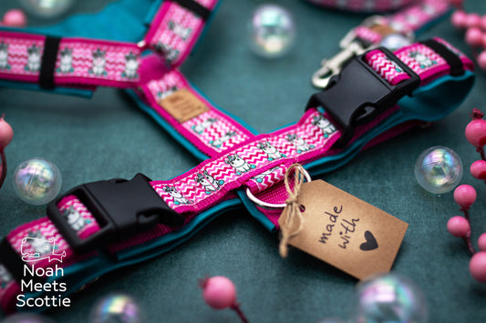 Hundegeschirr Pixie Pop mit Einhorn-Design und Chevron-Muster in Pink, Rosa und Türkis