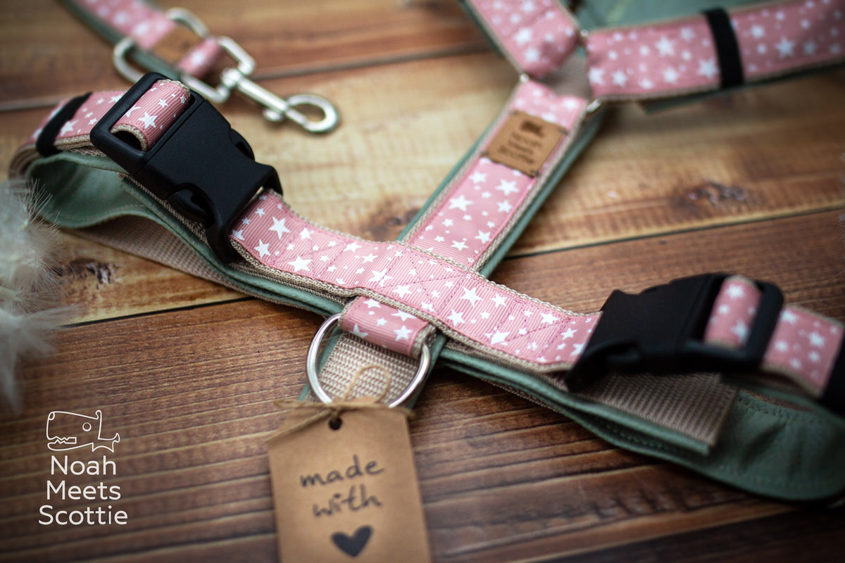 Altrosa Hundegeschirr POCKET FULL OF STARS mit kleinen weißen Sternen und salbeigrünem Gurtband