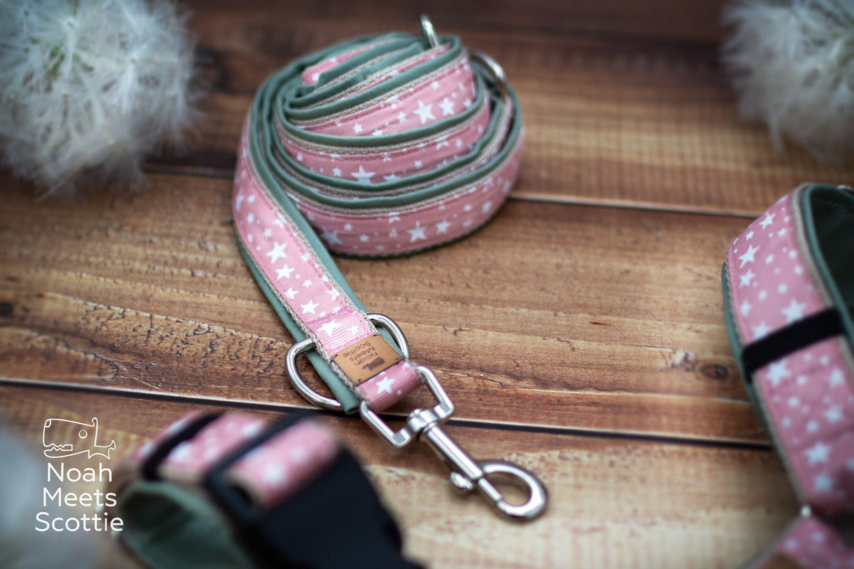 Rosa Hundegeschirr mit kleinem weißem Sternenmuster und salbeigrünem Gurtband