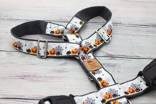 Hundegeschirr PUMPKIN PAW mit Halloween-Kürbis, Katze und Spinnennetz, Weiß-Orange-Schwarz
