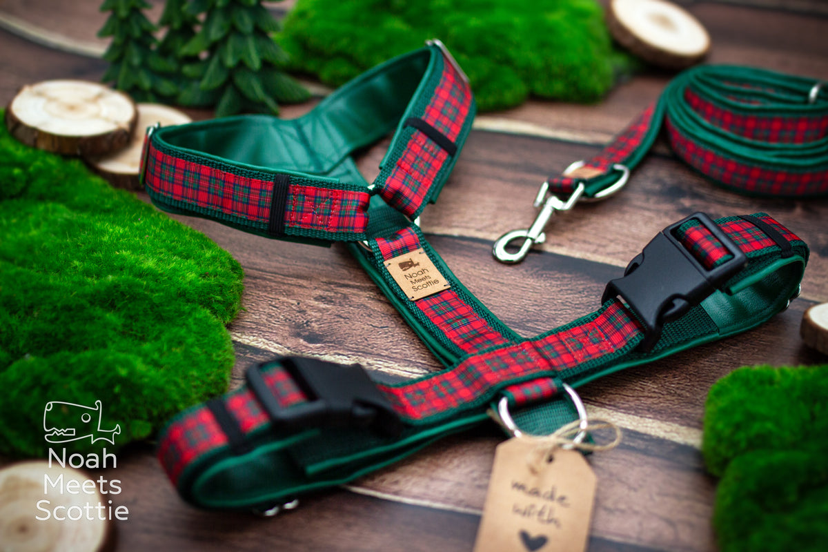 Kariertes Hundegeschirr SCOTTIE'S CHOICE im rot-grünen Scottish Country Style
