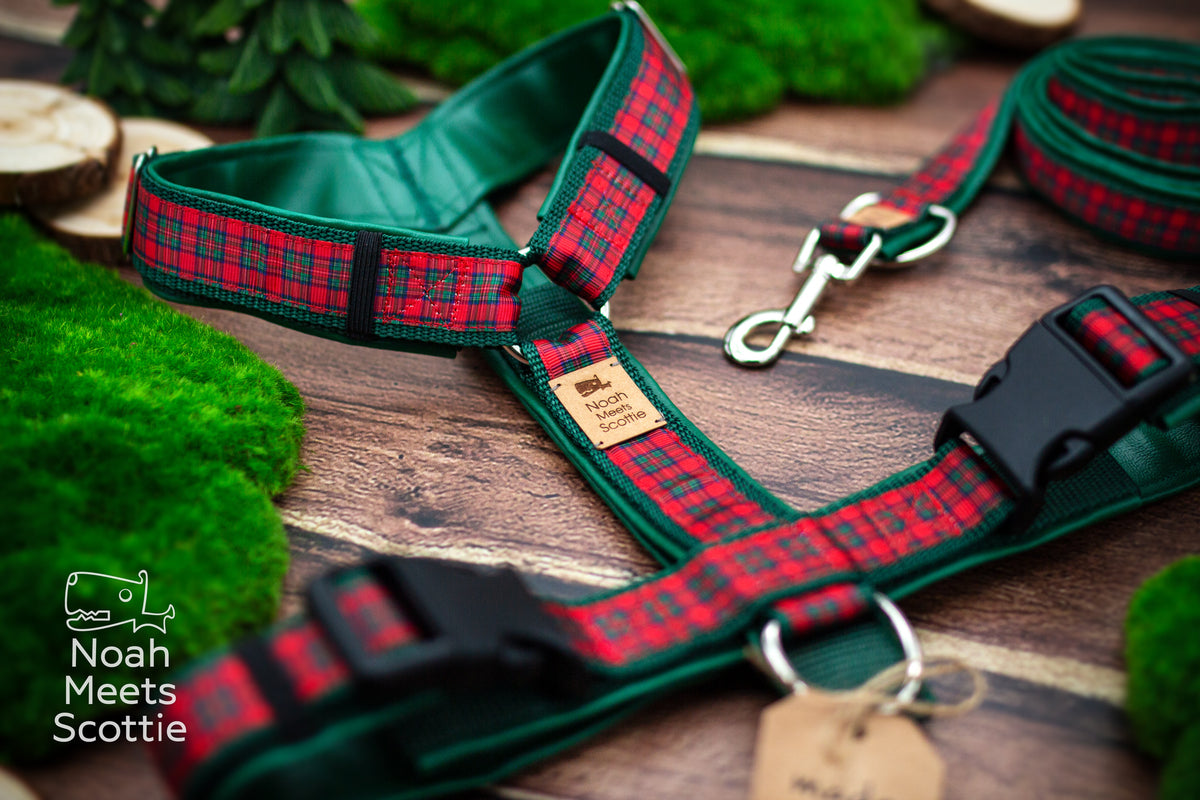 Tartan Hundegeschirr in Rot und Dunkelgrün mit traditionellem schottischem Karomuster