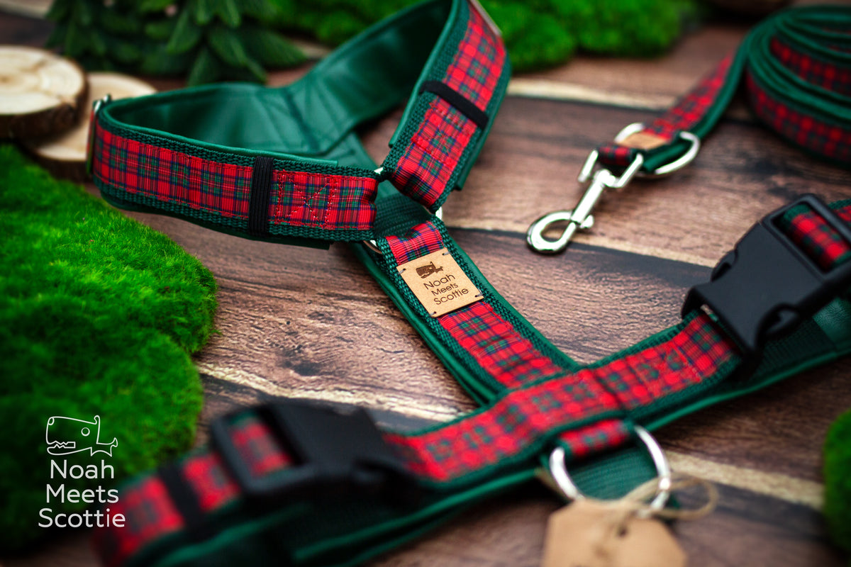 Hundegeschirr SCOTTIE'S CHOICE im rot-grünen Tartan und klassischen Schottenkaro