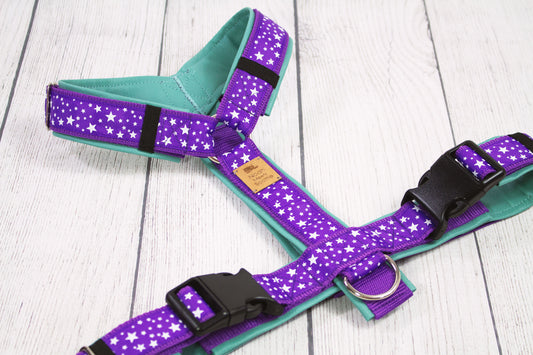 Hundegeschirr STARS’N’PURPLE Sterne-Muster lila mint, gepolstertes Kunstleder, robust