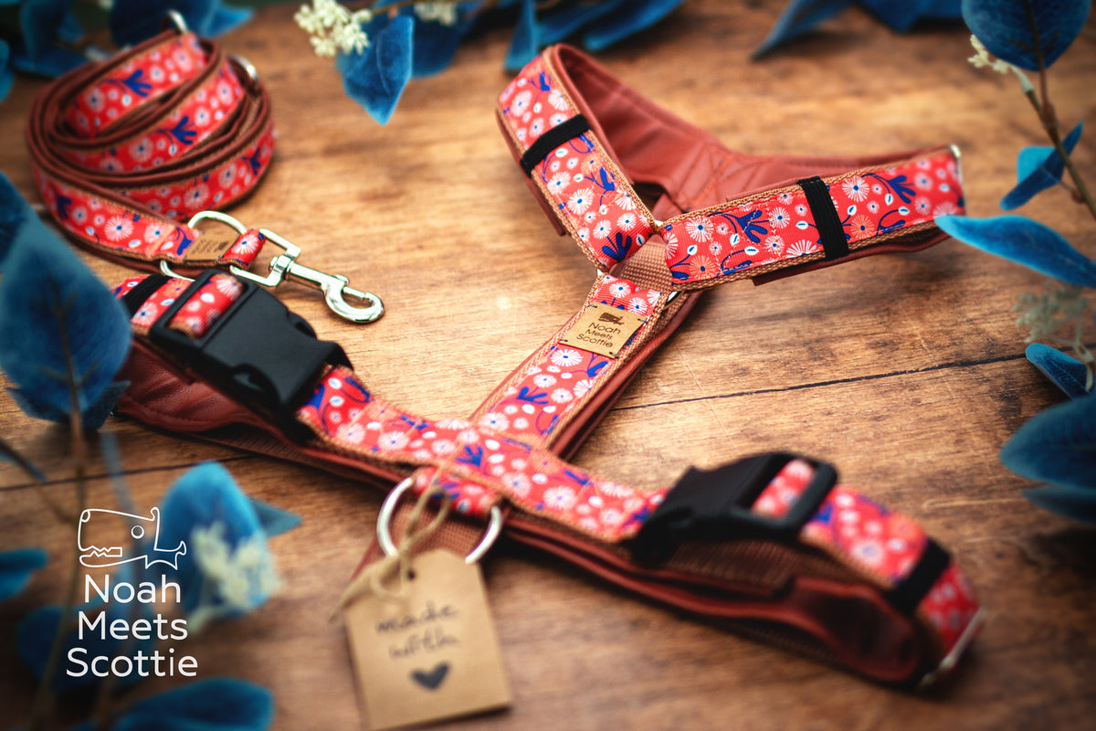 Hundegeschirr SUMMER IN MIRABEL in warmem Korallorange mit kleinen abstrakten weißen Blüten, dunkelblauen Blättern und feinen Zweigen auf dem floralen Stoff.
