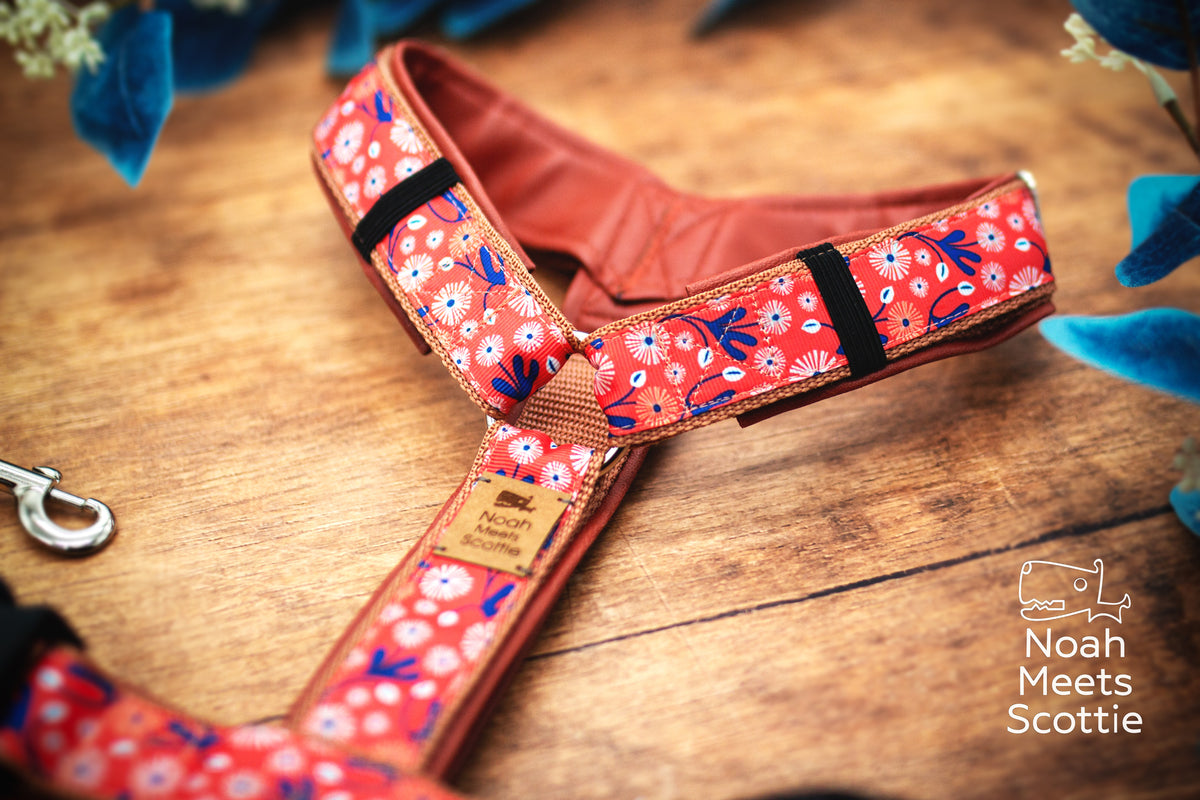 Verstellbares Hundegeschirr SUMMER IN MIRABEL mit kleinteiligem floralen Vintage-Muster, warmem Korallton und cognacbrauner Kunstlederfütterung.