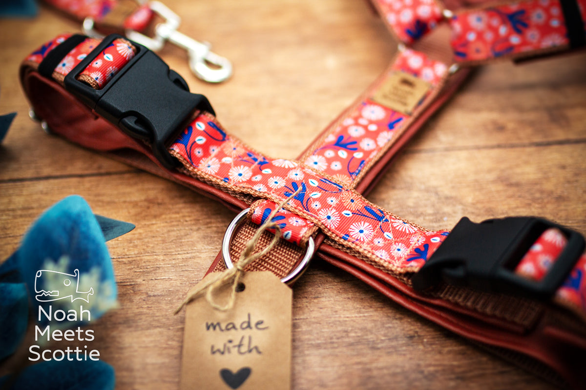 Hundegeschirr SUMMER IN MIRABEL in warmem Korallorange mit kleinen abstrakten weißen Blüten, dunkelblauen Blättern und feinen Zweigen auf dem floralen Stoff.