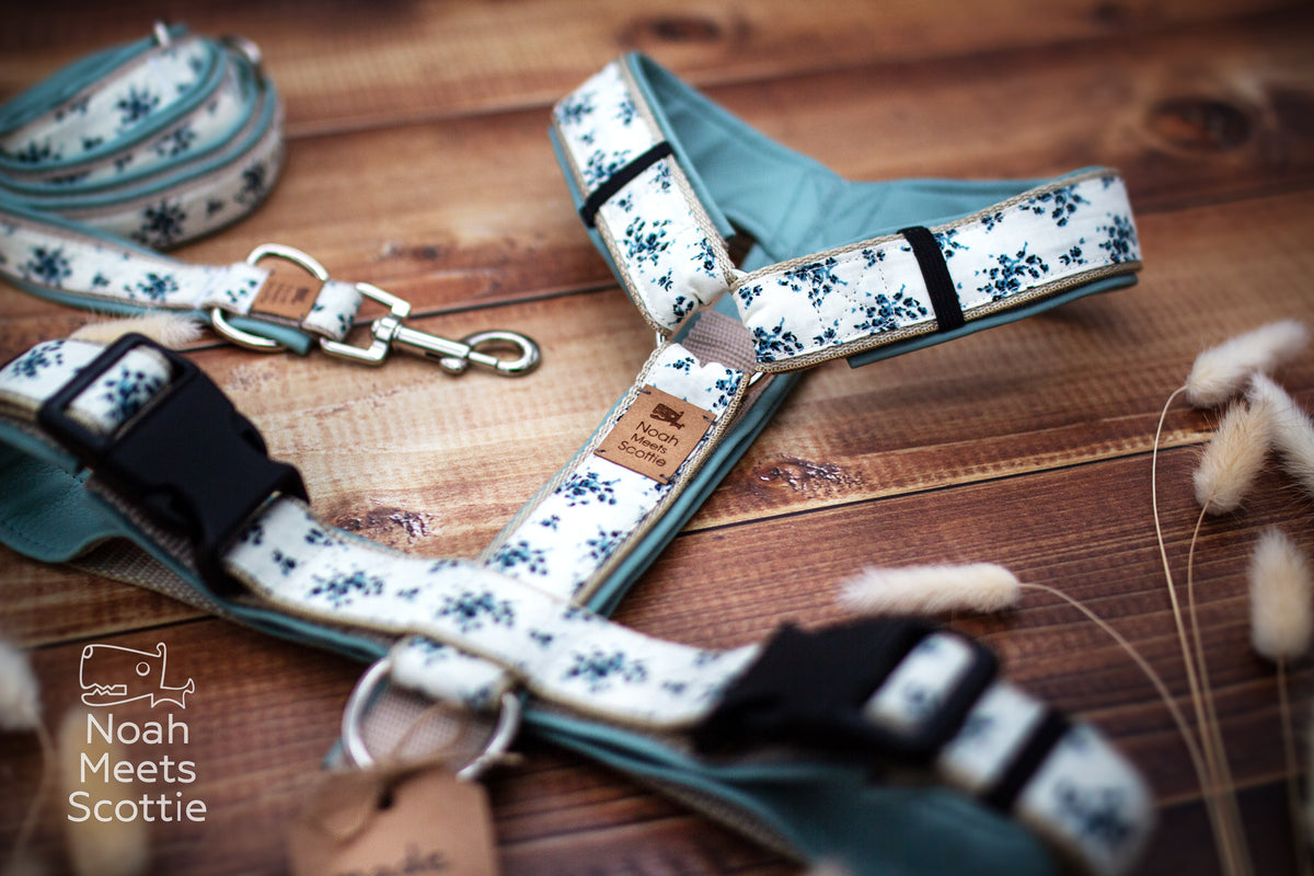 Helles Hundegeschirr im romantischen Vintage-Stil mit kleinen dunkelblauen Blumen und mintfarbener Kunstlederpolsterung.