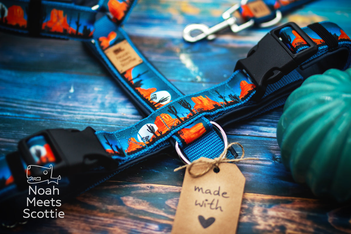Nahaufnahme des Hundegeschirrs mit türkisblauem Gurtband, orangefarbenen Felsformationen und schwarzen Kakteensilhouetten. Schwarzer Steckverschluss und silberfarbener Metallring sind sichtbar.