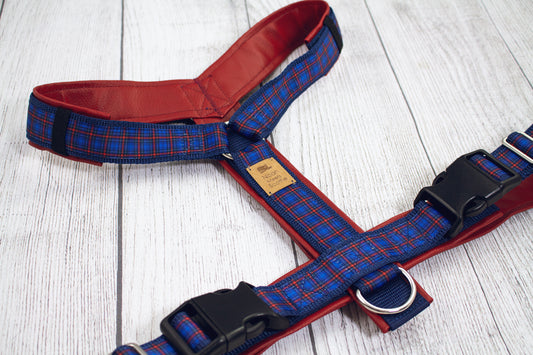 Hundegeschirr TIMBER Schottenkaro blau rot, gepolstertes Kunstleder, robust