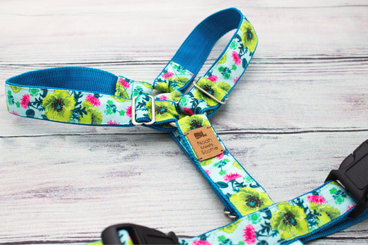 Hundegeschirr TROPICA in Türkis mit gelbgrünen und pinken Blüten, sommerlich und verstellbar