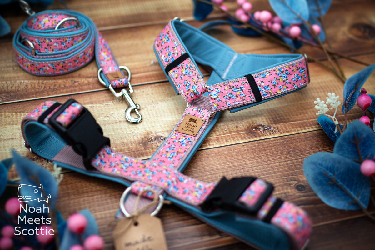 Florales Hundegeschirr mit kleinen Blüten, altrosa Gurtband und hellblauem Kunstleder