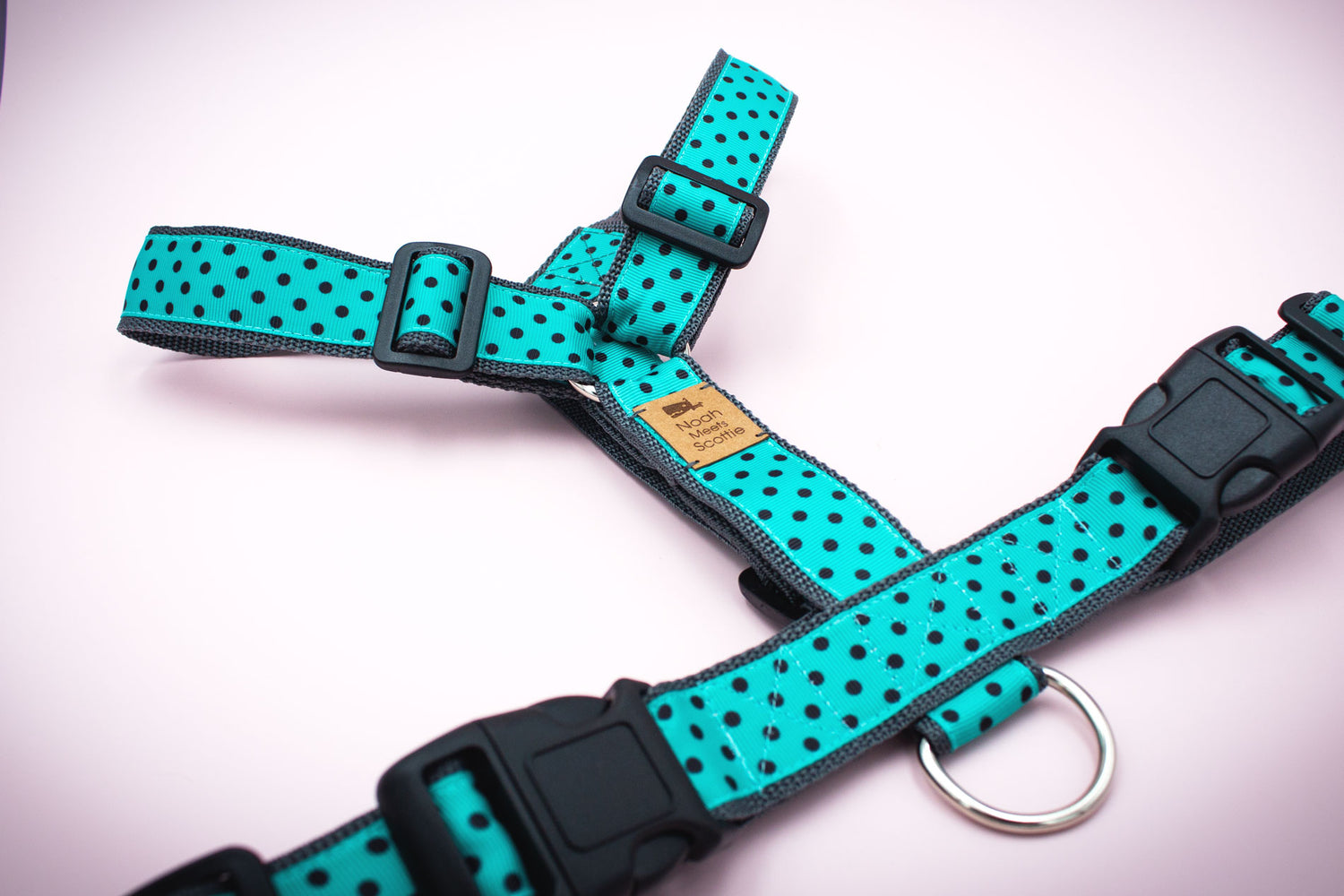 Hundegeschirr Türkis mit schwarzen Polka Dots, modern und stilvoll