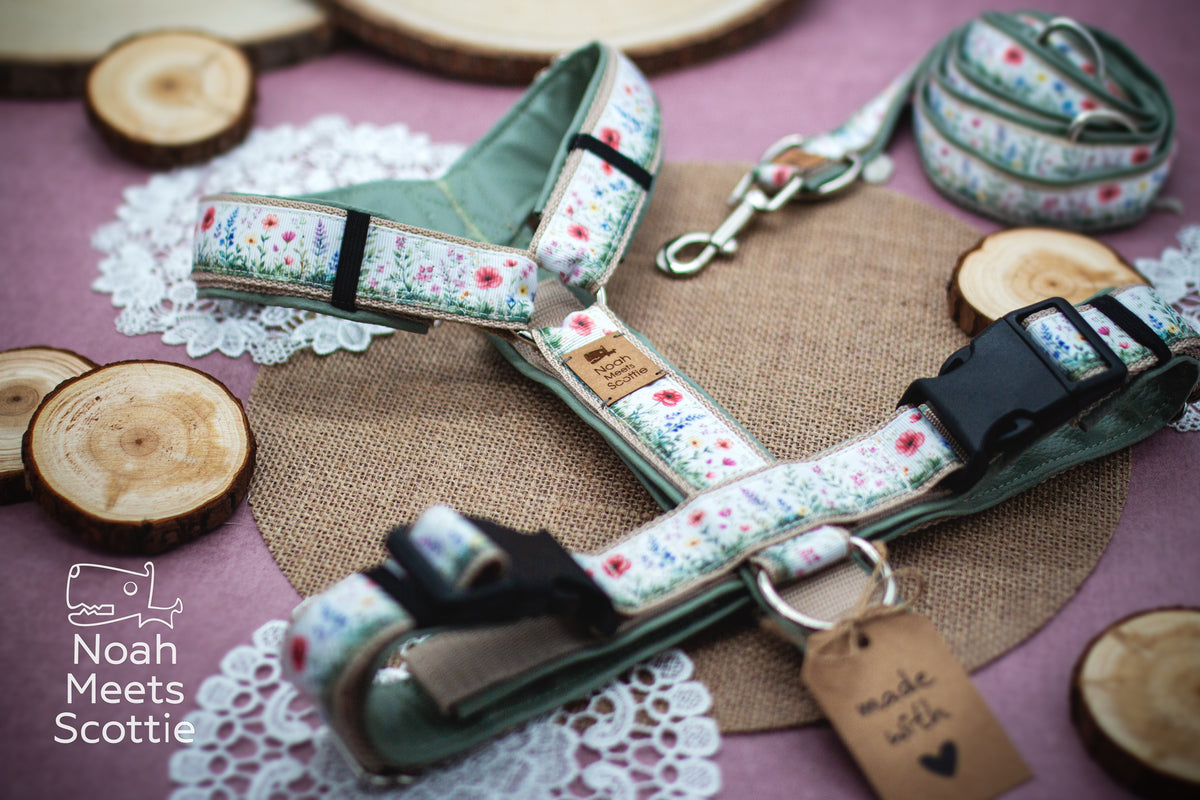 Hundegeschirr mit Wildblumenmotiv, schwarzen Kunststoffverschlüssen und silberfarbenen Metallbeschlägen.